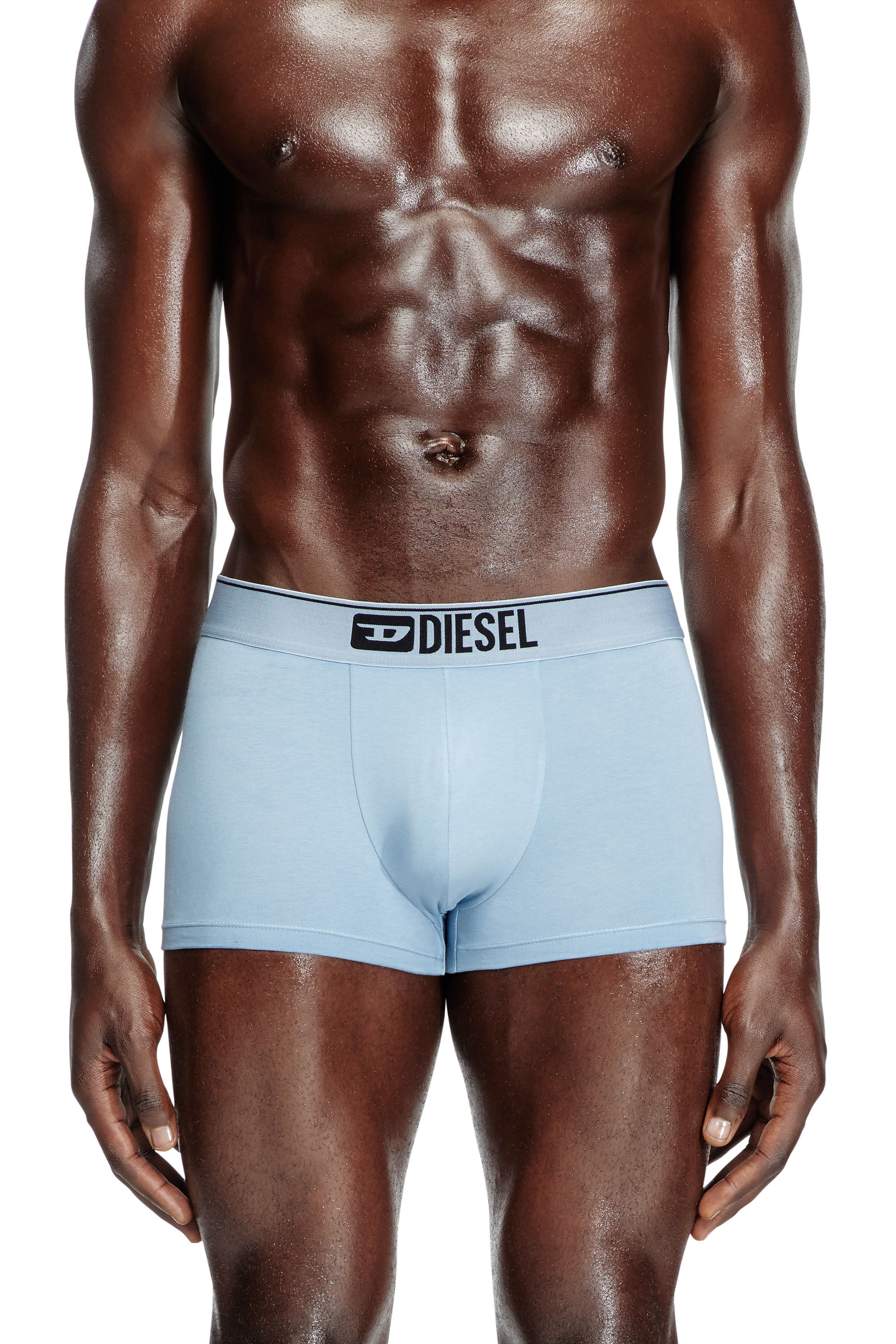Diesel - DAMIEN-THREEPACK, Man's Three-pack boxer briefs with floral motif in Blue/White - 1