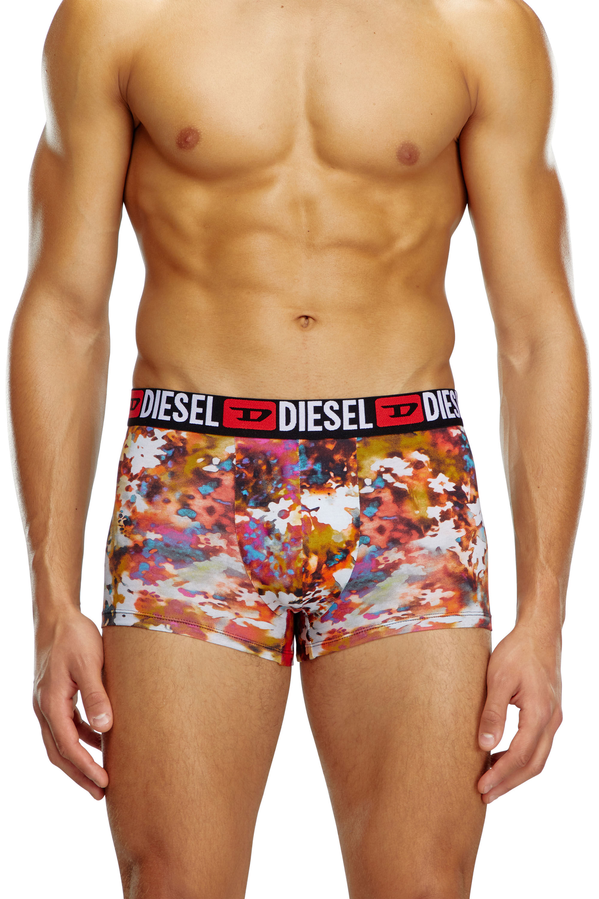 Diesel - UMBX-DAMIENTHREEPACK, Man's 3-pack boxer briefs plain and floral in Multicolor - 1