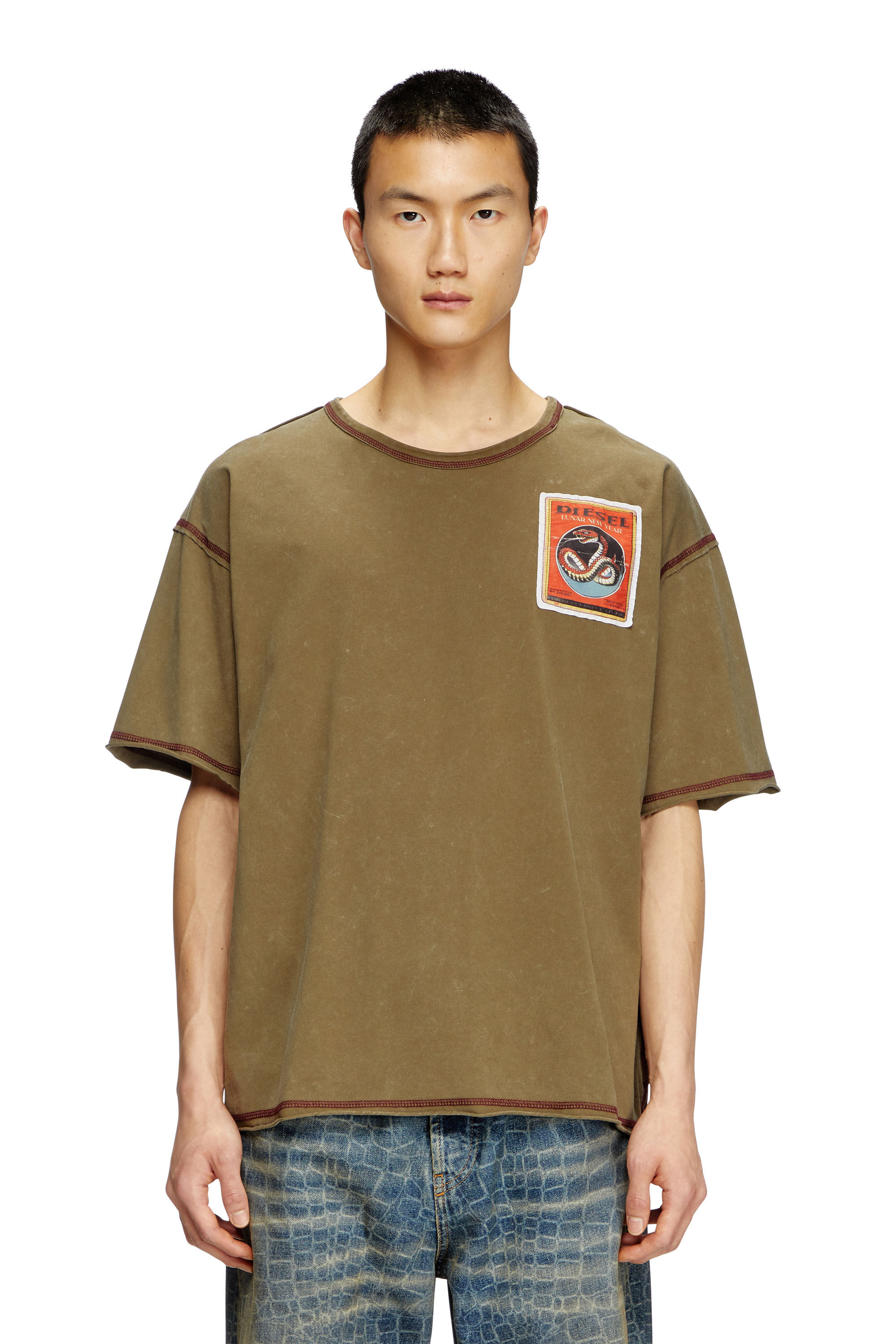 Diesel - CL-T-BOXT-SNAKE, Camiseta tratada con parches de serpiente Unisex in Verde - 3