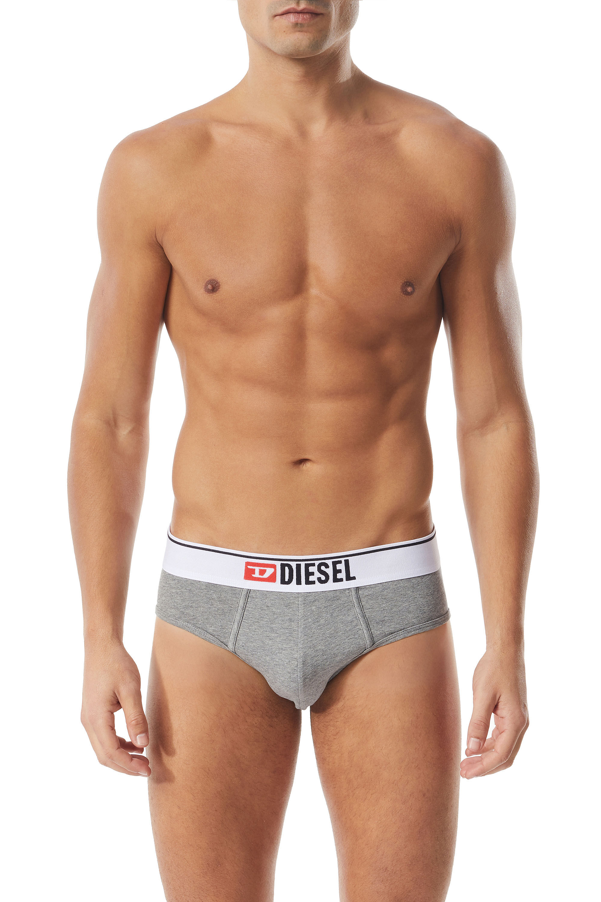Diesel - UMBR-ANDRE, Man's Briefs with front logo waist in Grey - 2