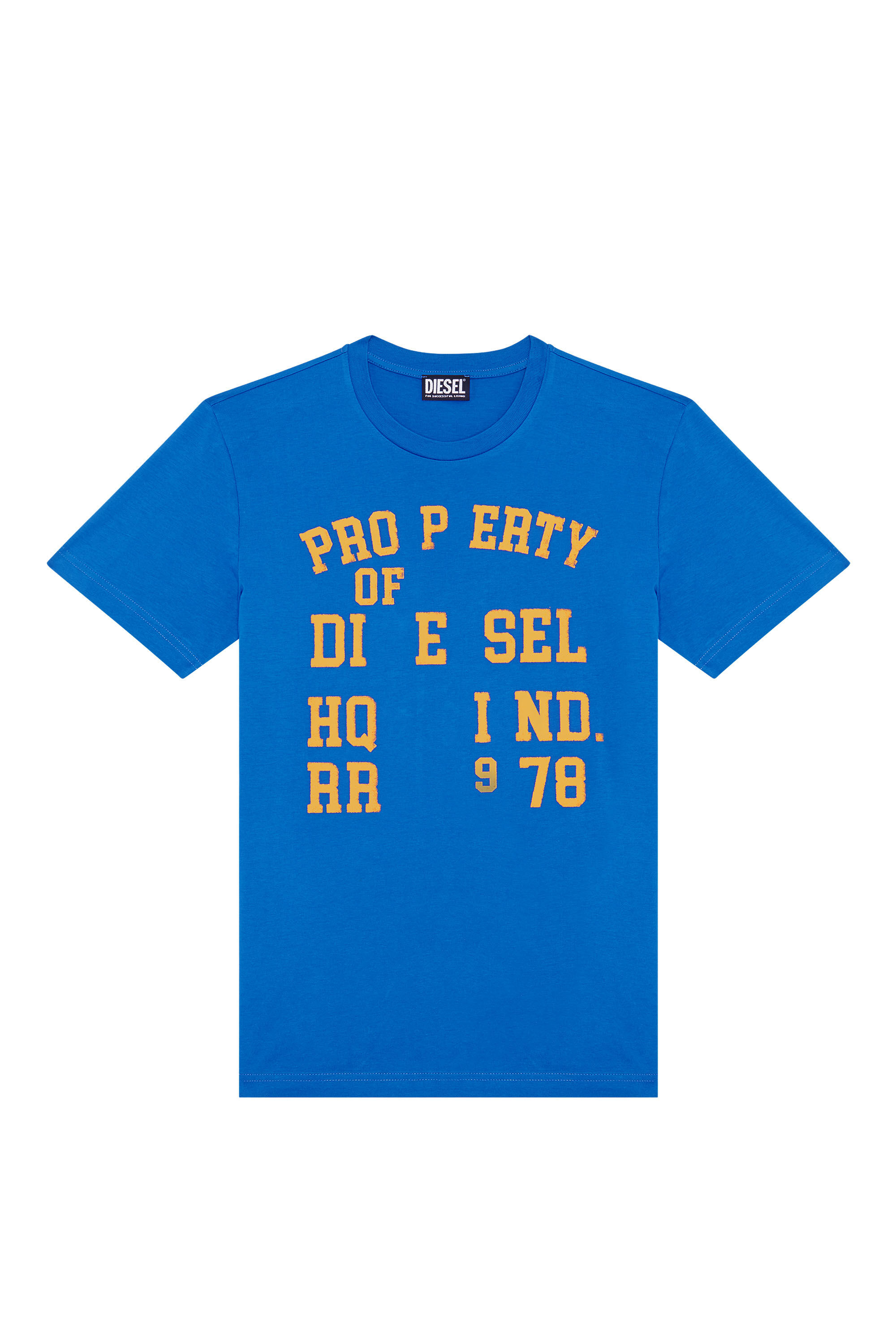 Diesel - T-DIEGOR-K59, Camiseta con estampado Property of Diesel Hombre in Azul marino - 2