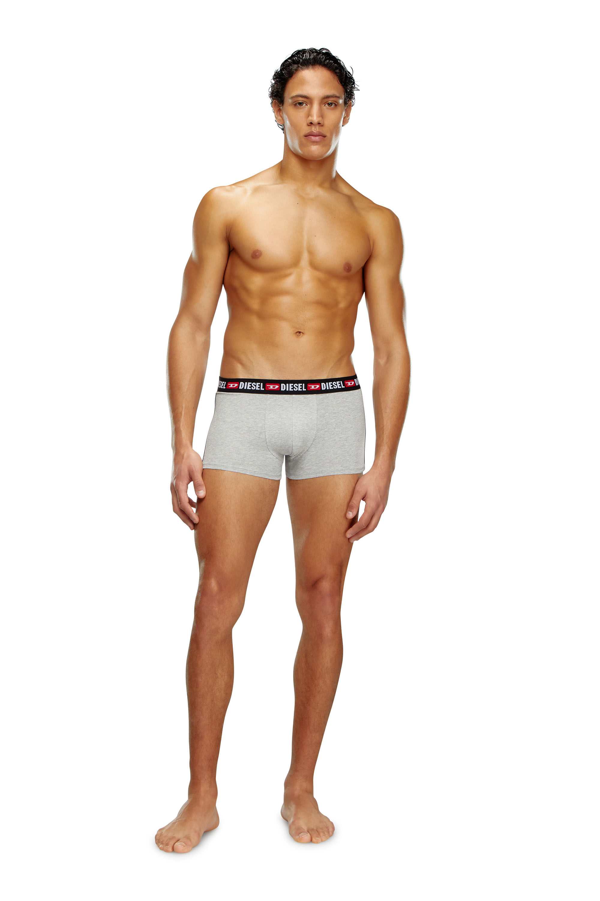 DIESEL | UFPN-MYA MUTANDE UNDERPANTS BLACK (WOMEN) ボクサー UFPN-MYA Women: Shorts with logo waistband | Diesel