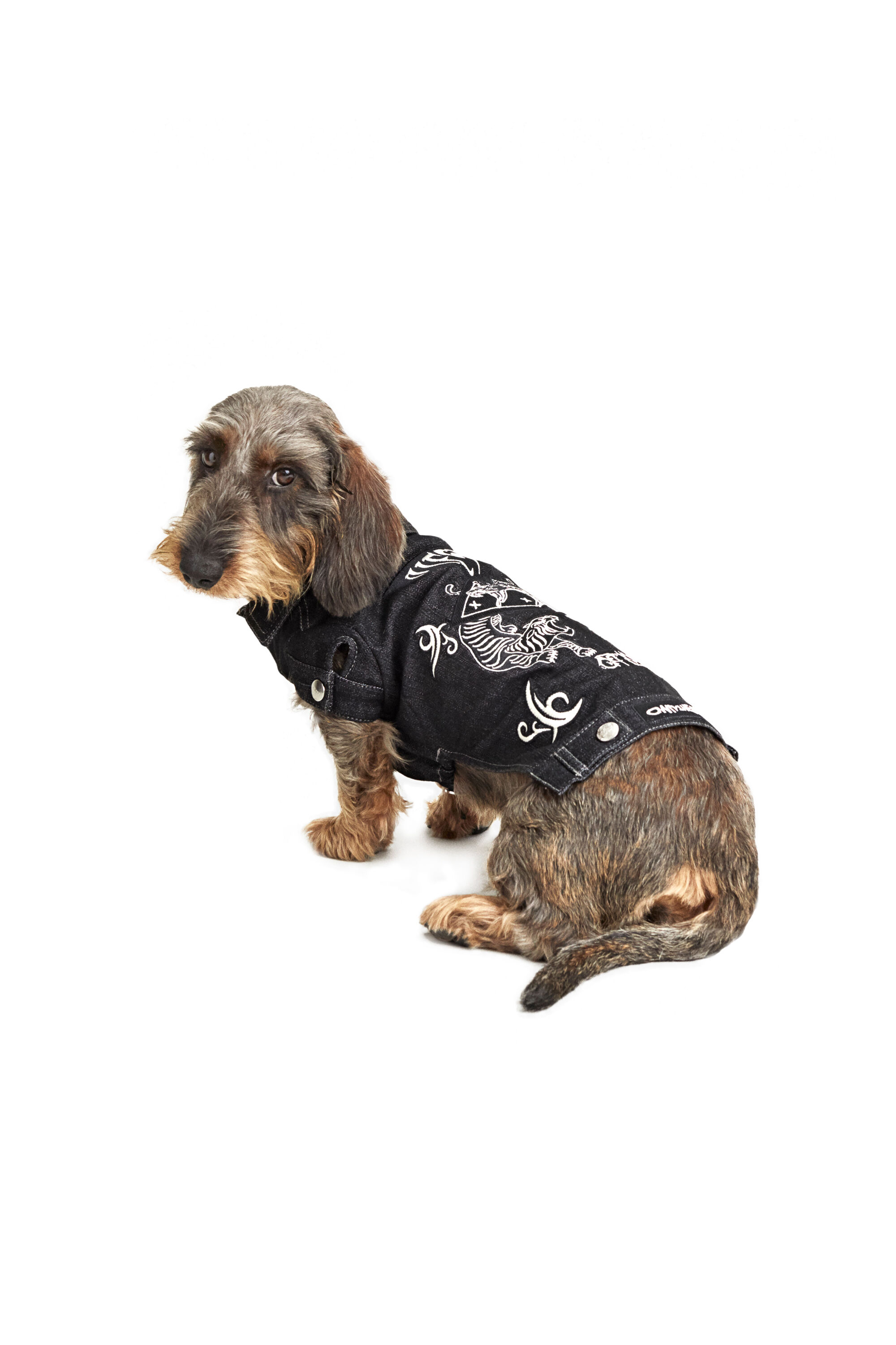 Versace hotsell dog clothes