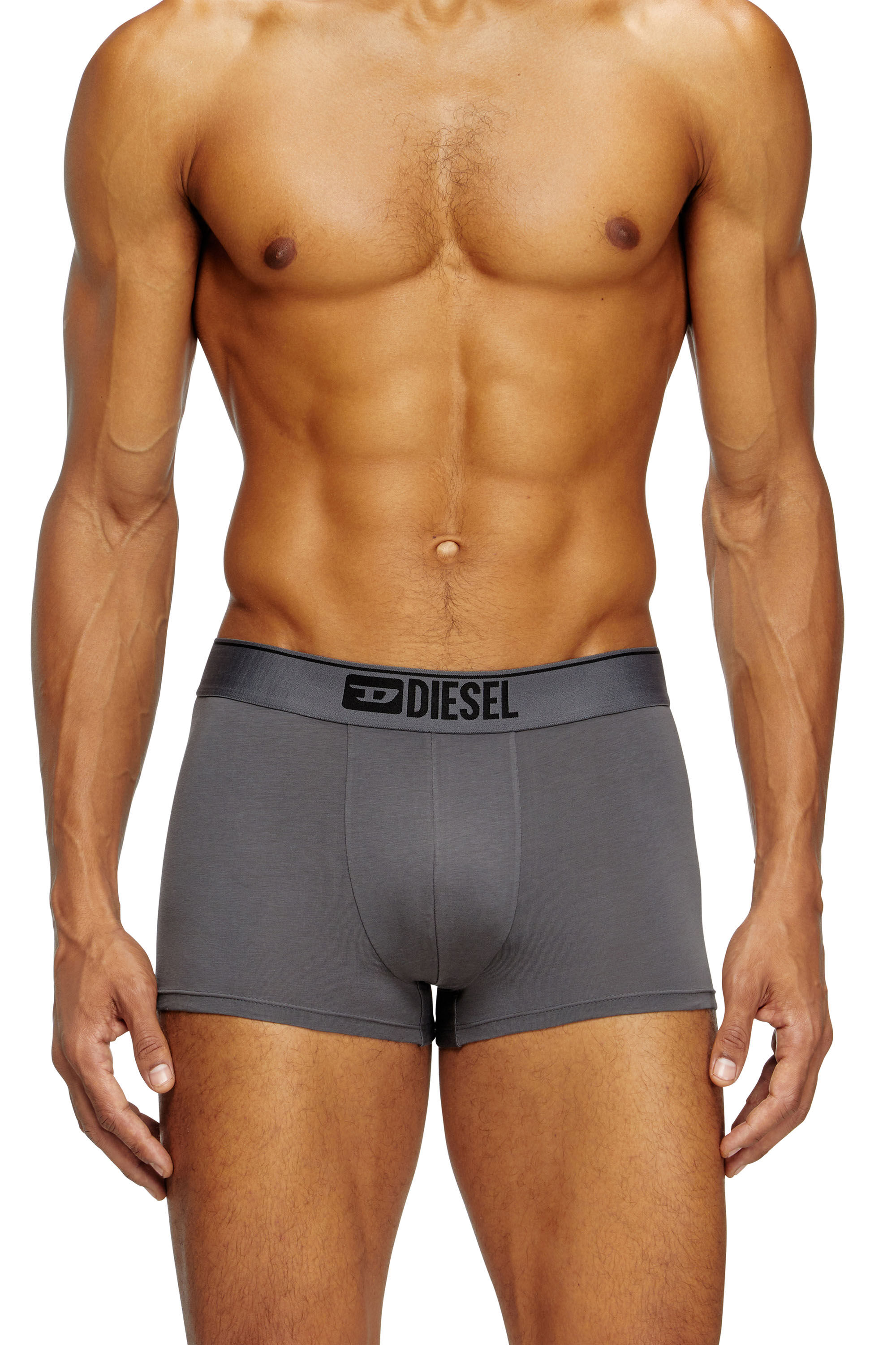 Diesel - UMBX-DAMIENTHREEPACK, Man's Three-pack of plain boxer in Black/Grey - 1
