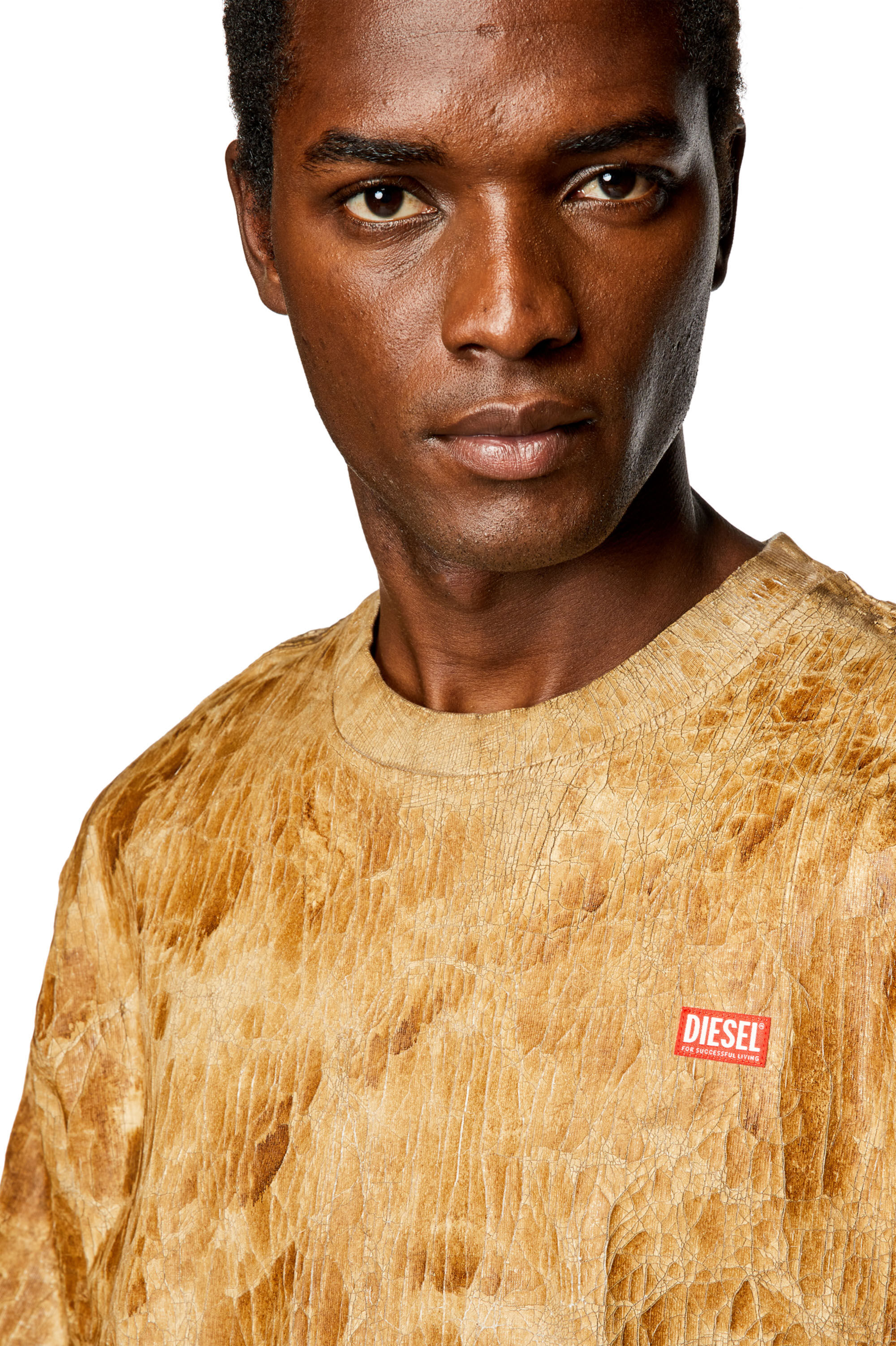 Tシャツ・カットソー MALO BROWN COTTON T-SHIRT Printed T-shirt | Dark Brown | Jack & Jones®