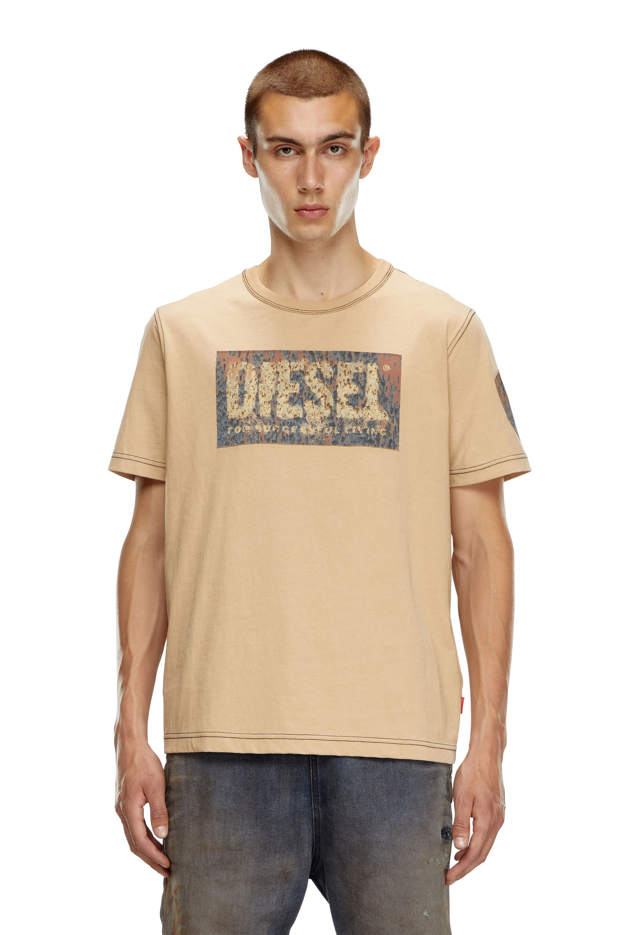 Diesel - T-ADJUST-Q1, Man's T-shirt with graphic patches in Light Brown - 1