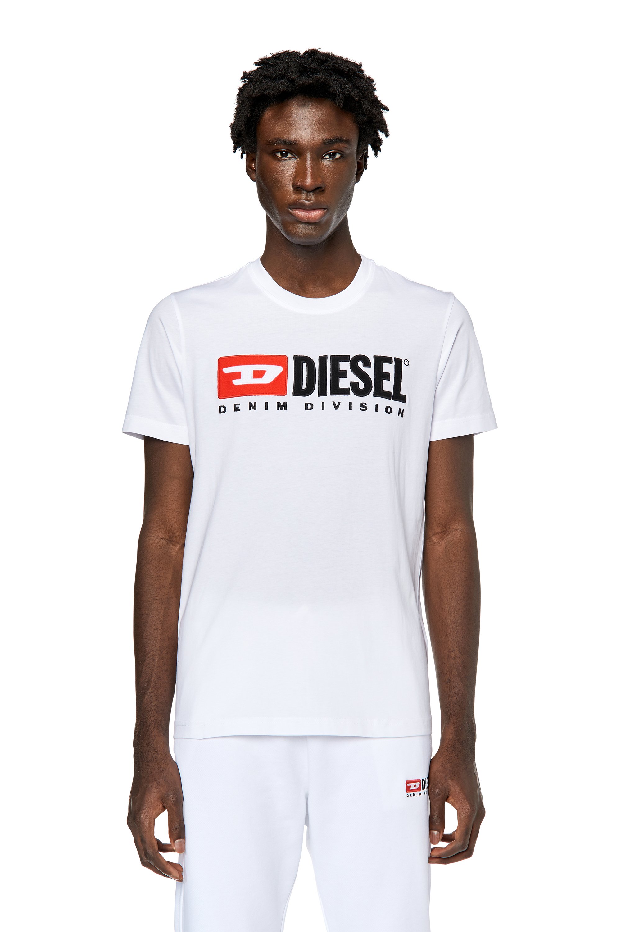 Diesel - T-DIEGOR-DIV, Man T-shirt with embroidered logo in White - Image 1