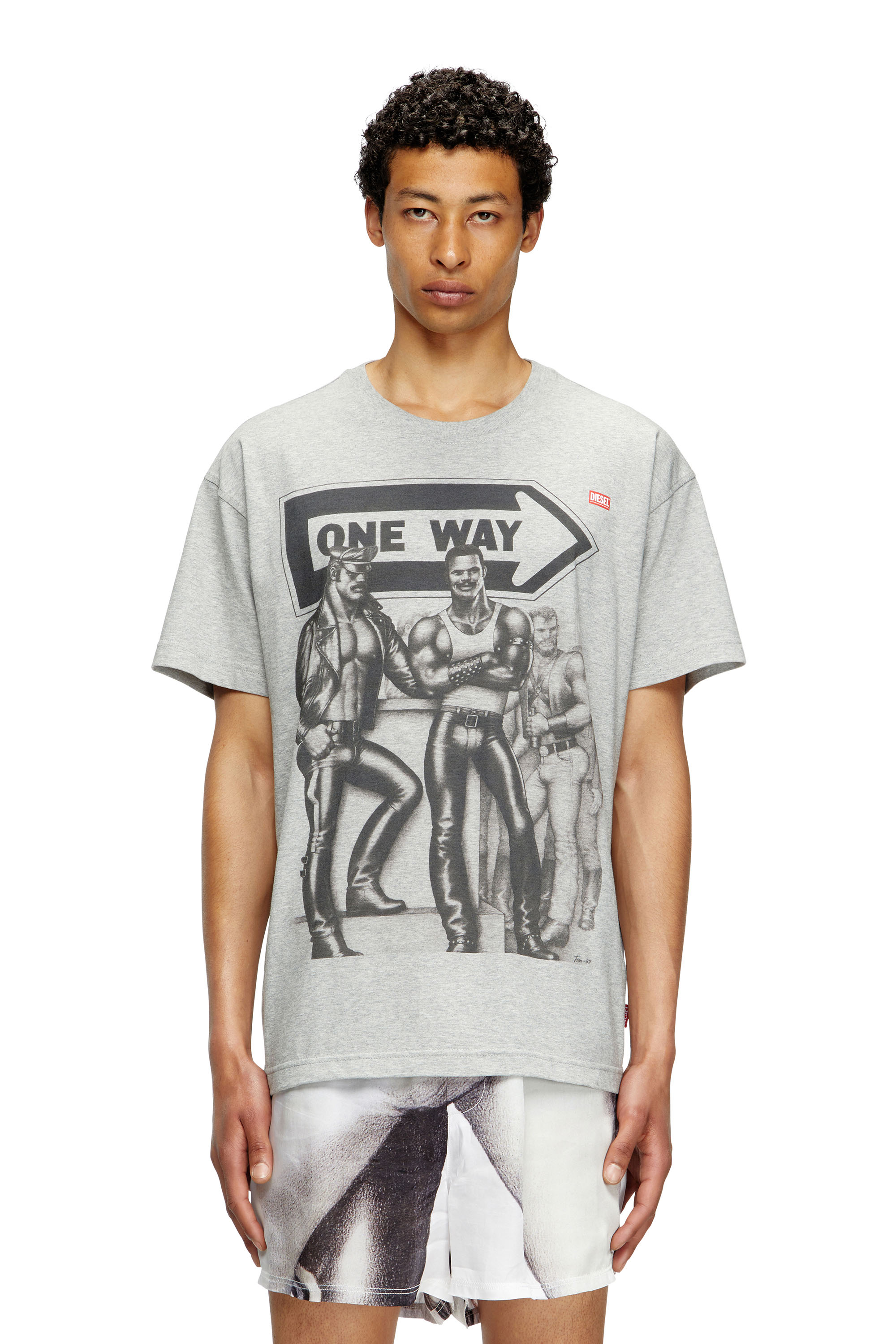 Diesel - PR-T-NORM-TOM25, Camiseta con estampado gráfico Unisex in Gris - 1